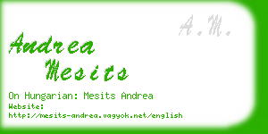 andrea mesits business card